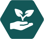 a white icon of a hand holding a sprouting plant on a dark teal hexagon background